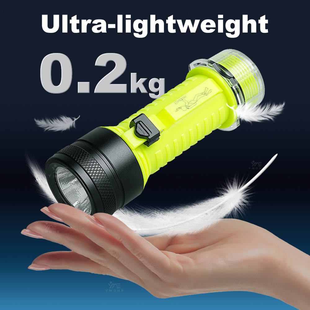 New Portable Professional LED  - Fishing Light のレビューと価格