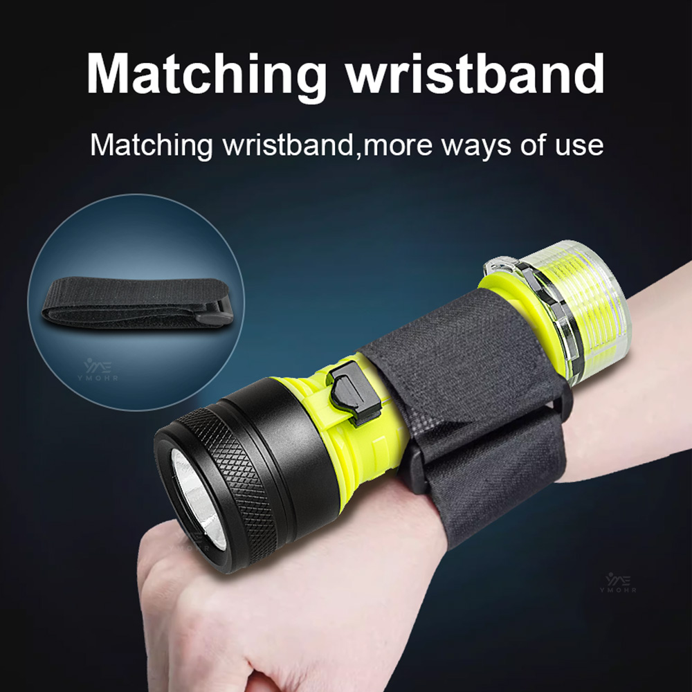 New Portable Professional LED  - Fishing Light のレビューと価格