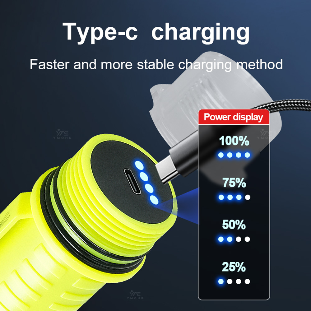 New Portable Professional LED  - Fishing Light のレビューと価格