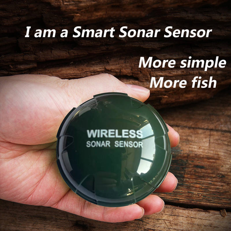 Portable Bluetooth Wireless So - Fishing Depth Finder のレビューと価格